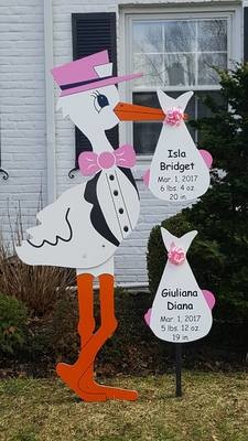 Twin Stork Announcement with One Stork