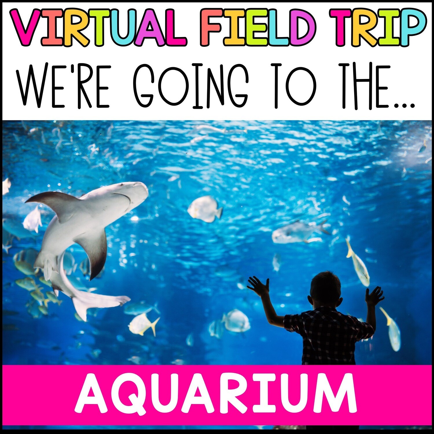 Aquarium Virtual Field Trip - FREE Sample