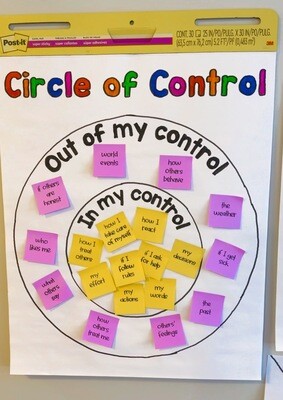 Circle of Control Anchor Chart