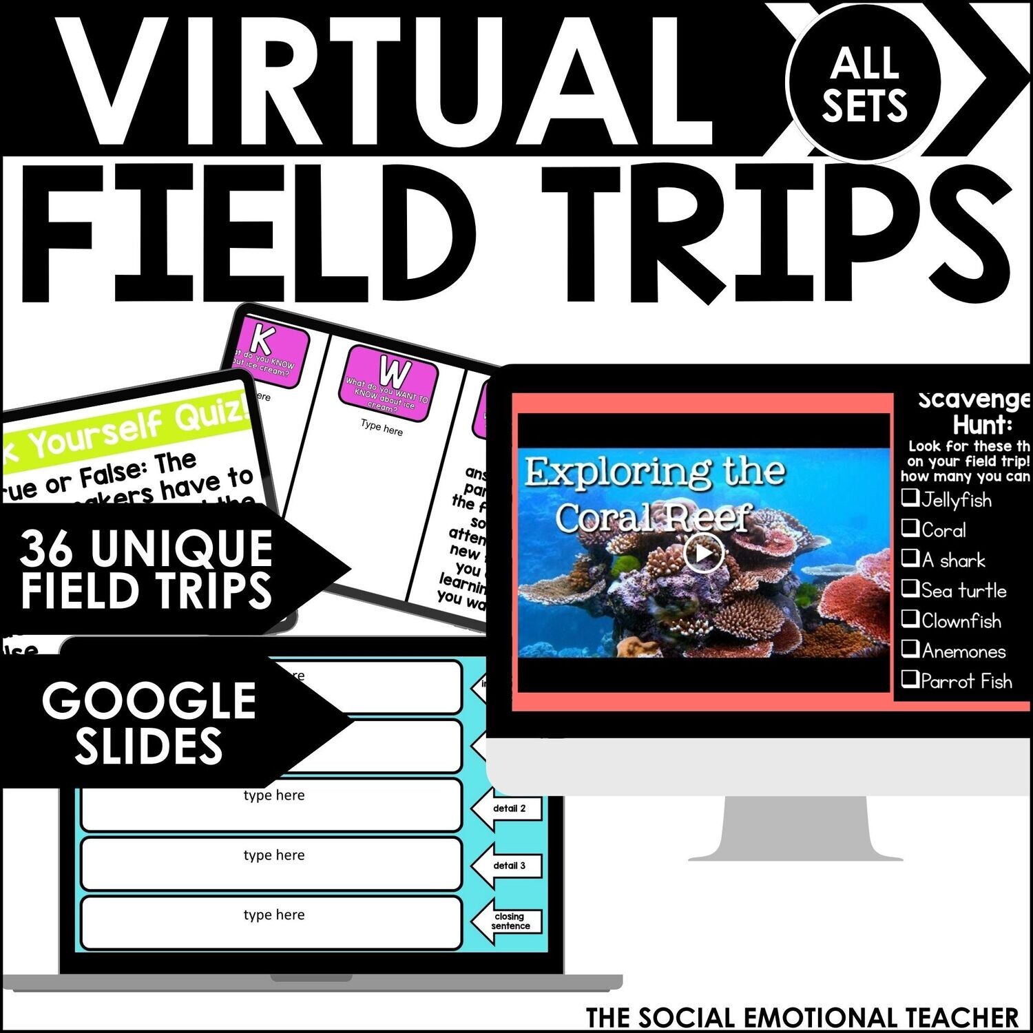 Virtual Field Trips BUNDLE