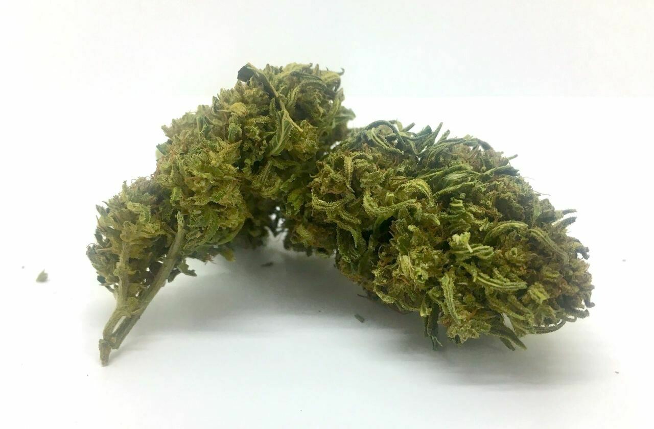 Hemp Flower - Otto Hemp Flower - Otto