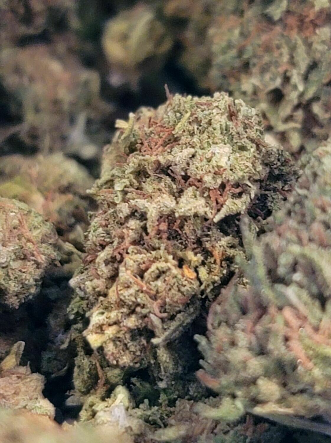 Hemp Flower - Skywalker OG Hemp Flower - Skywalker OG