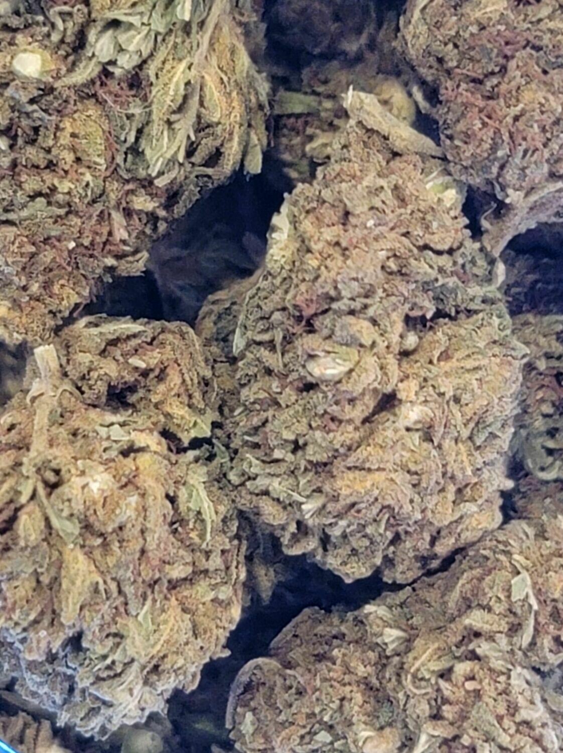 CBD Hemp Flower - Blue Cheese CBD Hemp Flower - Blue Cheese