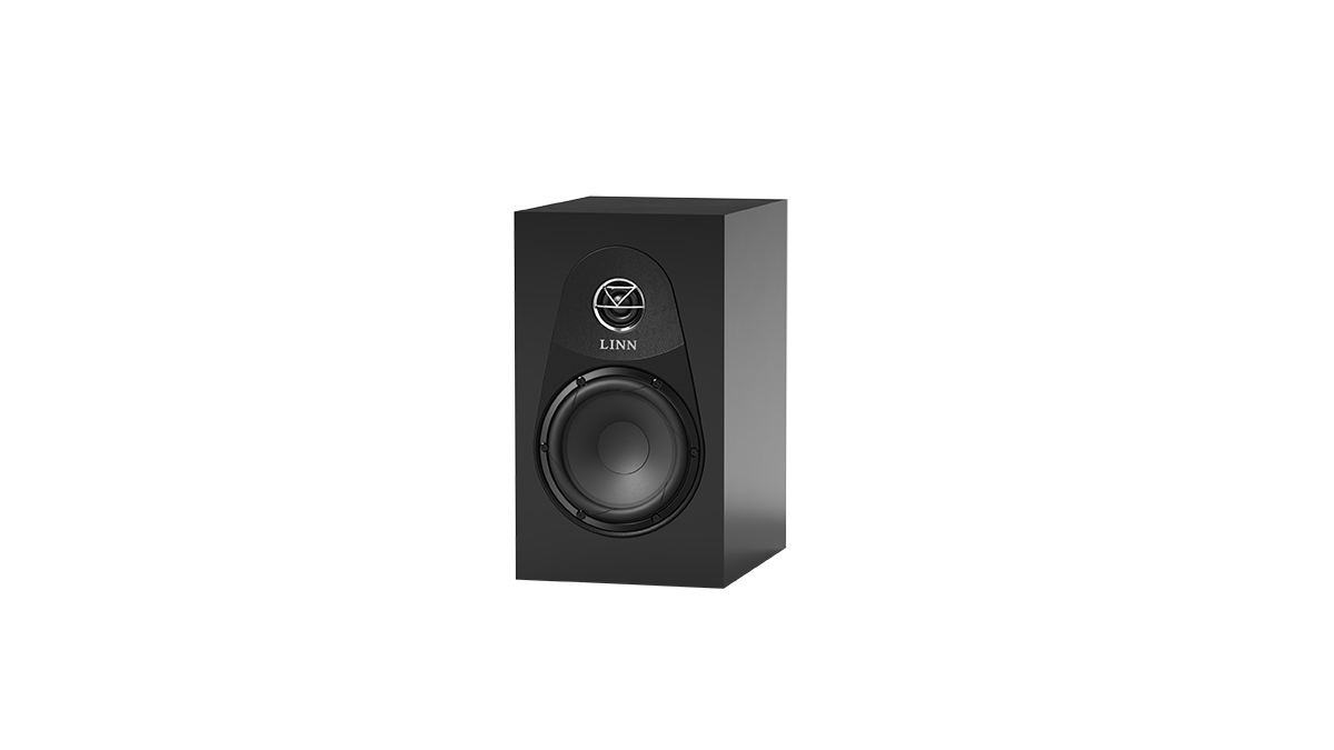 Linn 119