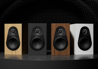 Linn 119