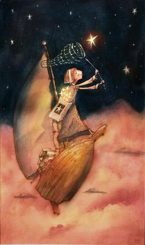 The Star Catcher