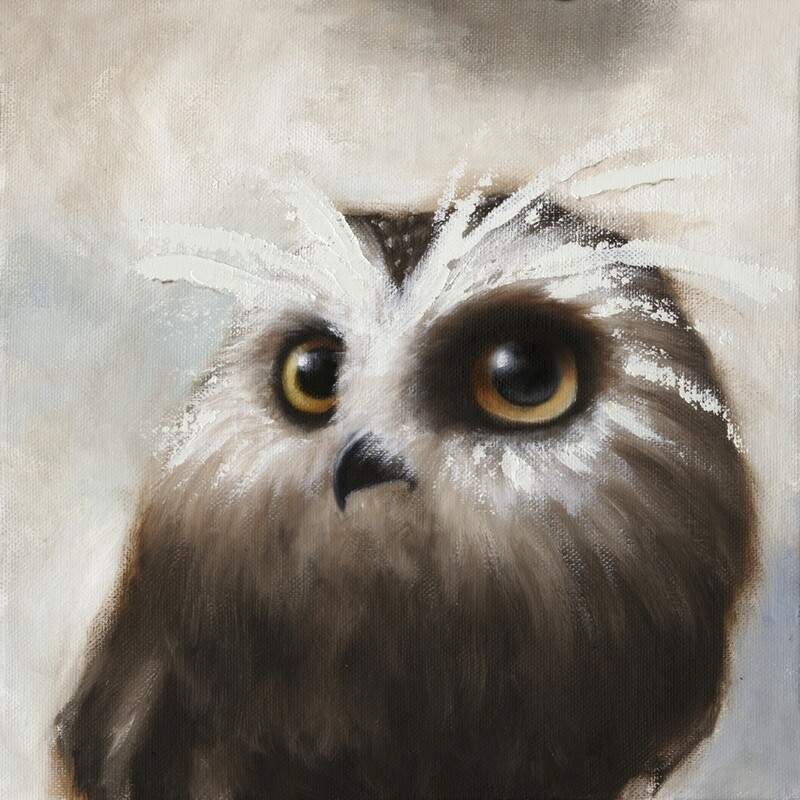 Owl