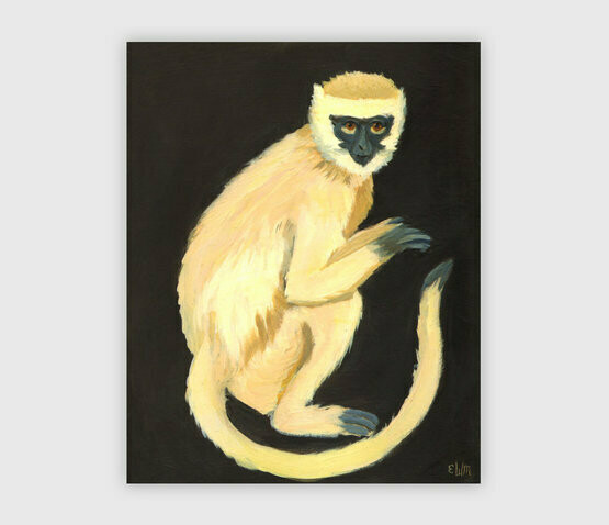 A Monkey