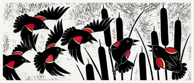 Raucous Red Winged Blackbirds