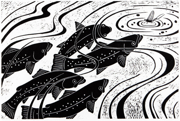 Rising Trout