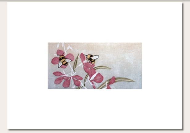 Fireweed
