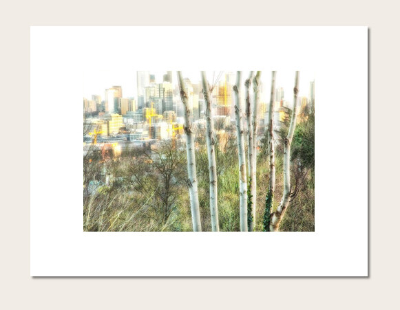 Seven Trees