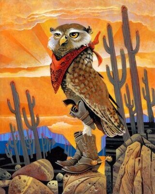 Hoot The Outlaw