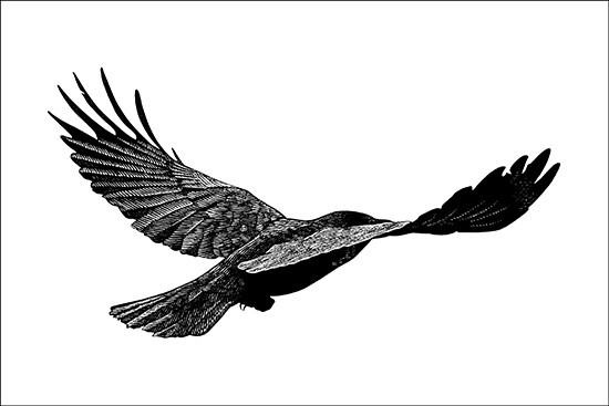 Sovereign