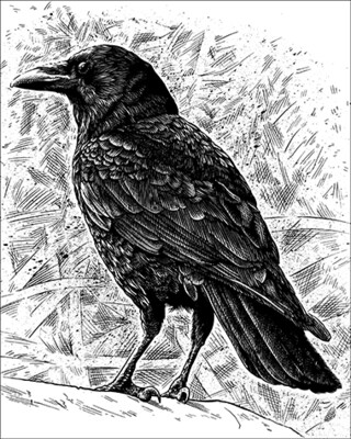 Standing Crow
