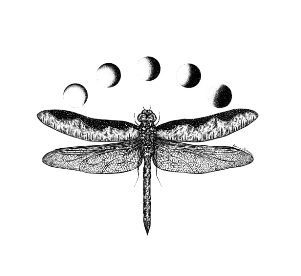 Dragonfly