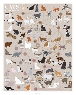 Cats Categorized
