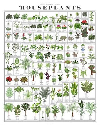 Horticultural Chart of Houseplants