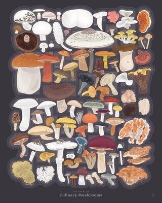 Chart of Culinary Mushrooms