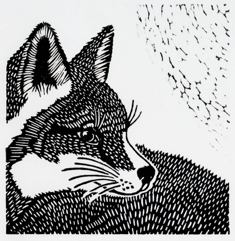 Foxy