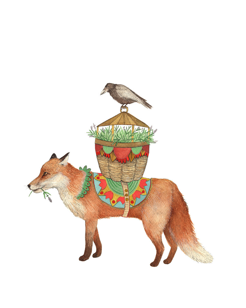 The Fox