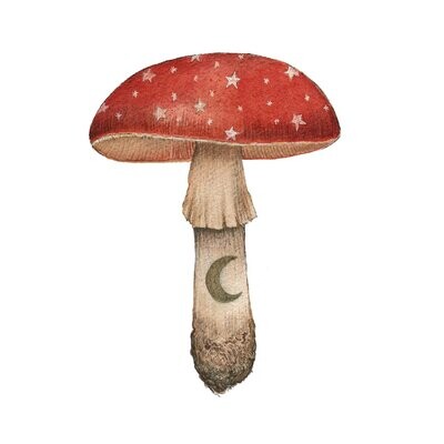 Ruby Mushroom