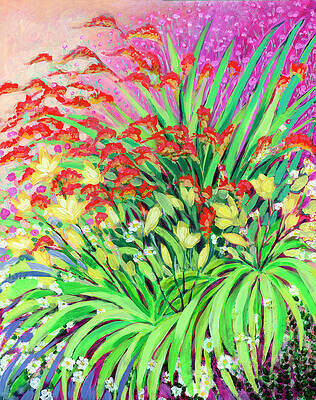 Garden Fireworks