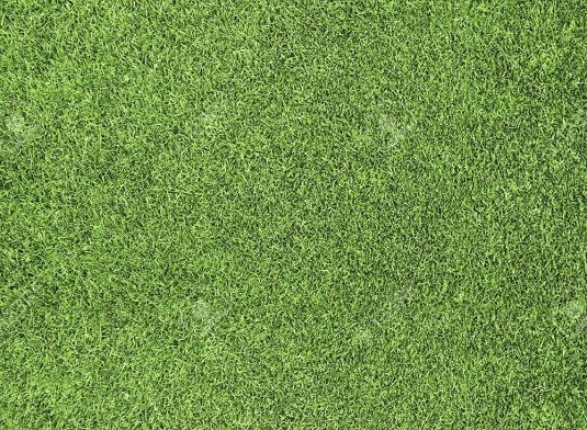 Easy Turf Artificial Grass Products – Golf Pro