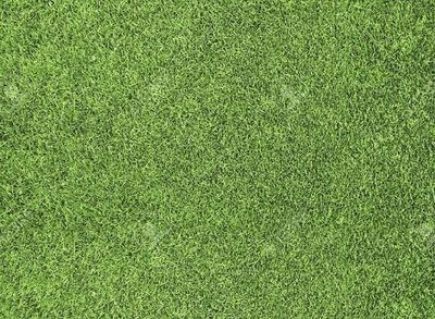 Easy Turf Artificial Grass Products – Golf Pro