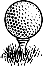Dallas Senior Interclub ("DSI") annual membership
