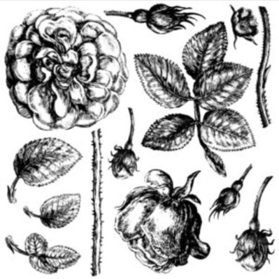 IOD Lady of Shalott DECOR STAMP 2 Sheets - Iron Orchid Designs