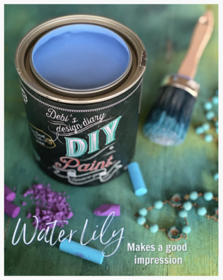 Water Lily by DIY Paint Co