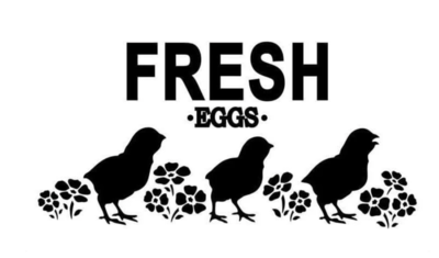 Fresh Eggs Stencil by JRV