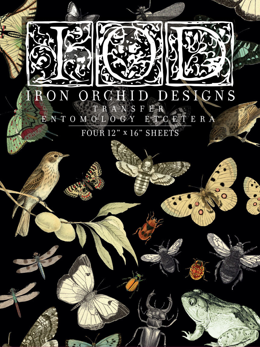ENTOMOLOGY ETCETERA TRANSFER by IOD - Iron Orchid Designs