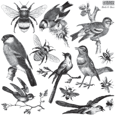 BIRDS & BEES STAMP by IOD - Iron Orchid Designs