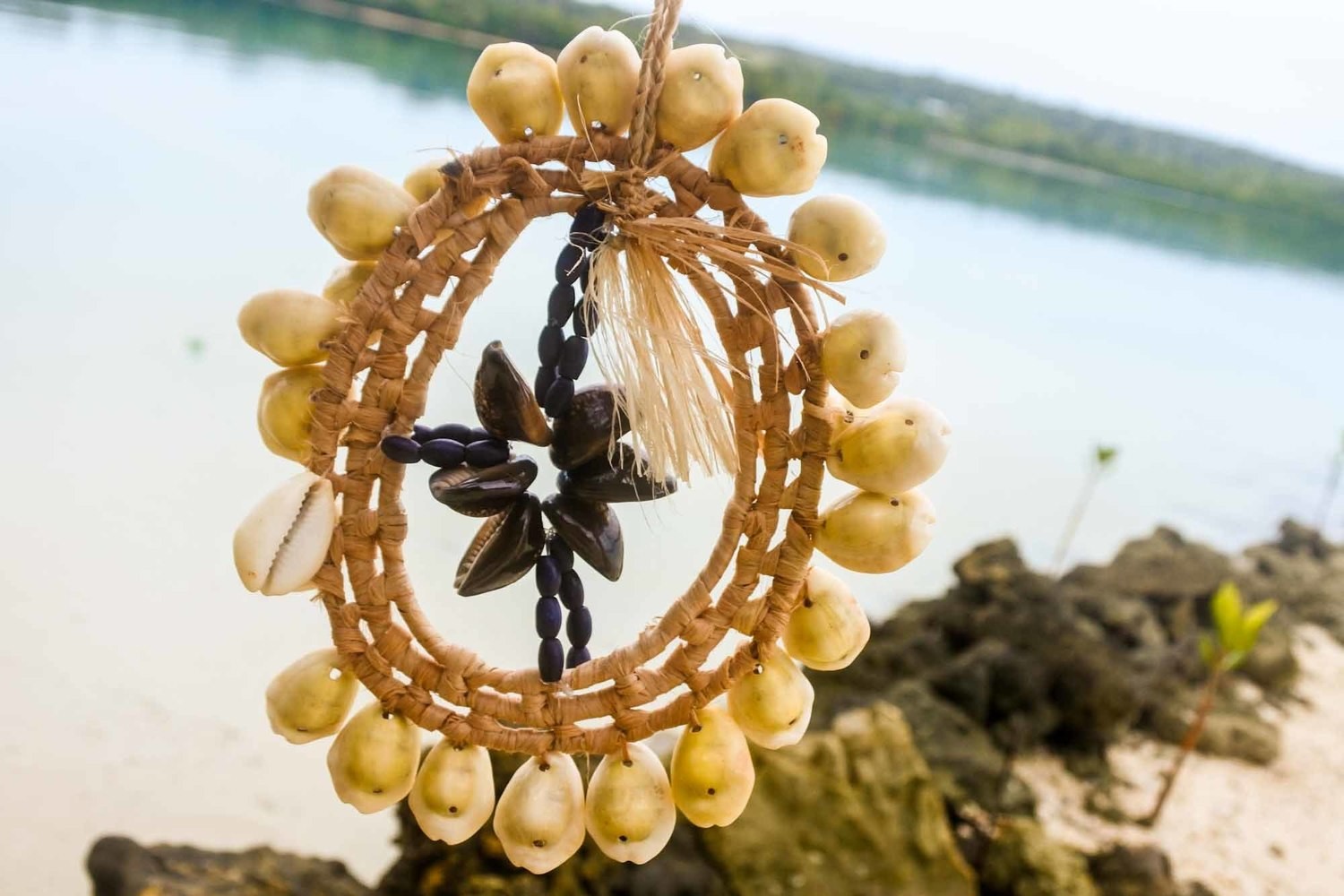 Shell Art Wall Decor