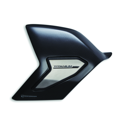 Carbon and titanium swingarm guard. Carbon and titanium swingarm guard.