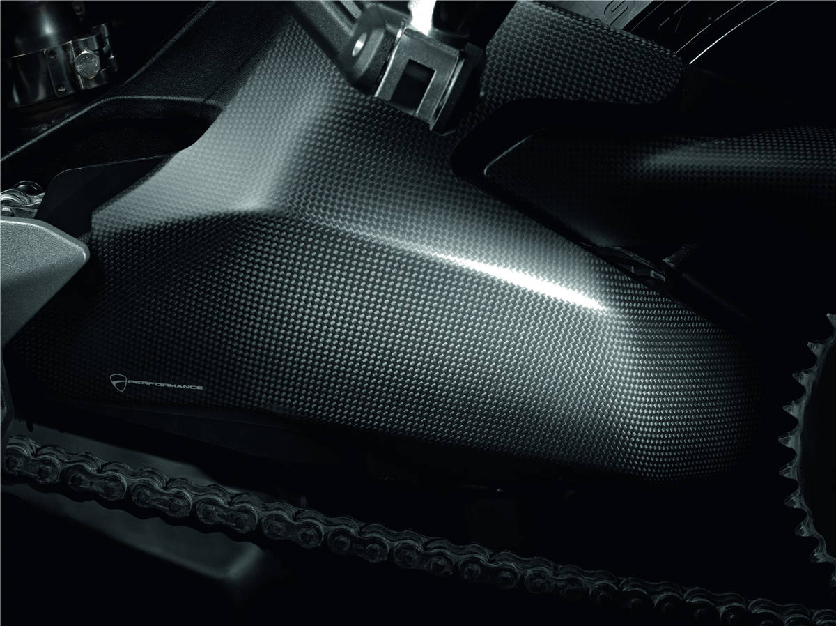 Carbon swingarm guard.