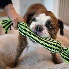 Jolly Pets Knot N Chew Rope