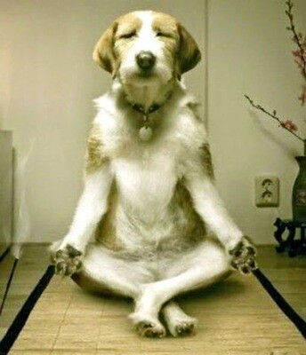 Zen Calming Treats