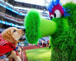 Philly Sports Team Merchandise