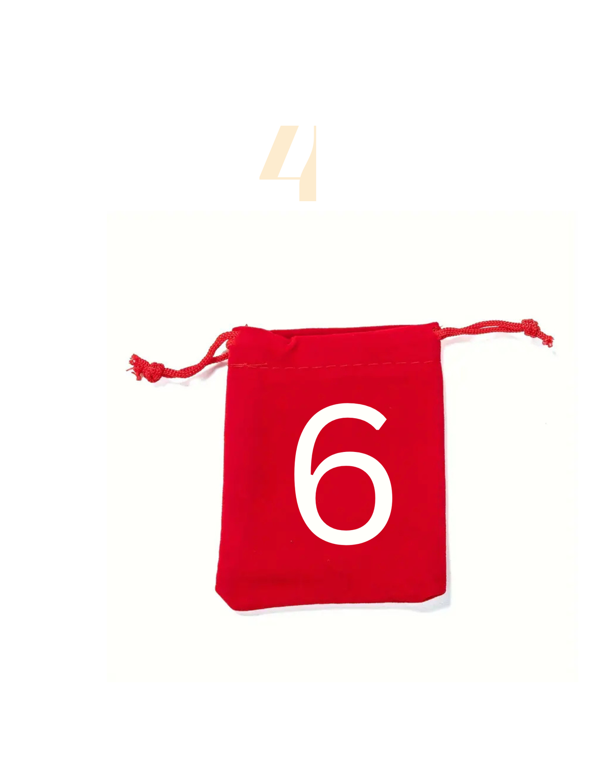 Customer Appreciation Gift Bag #6