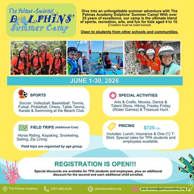 Dolphins Summer Camp