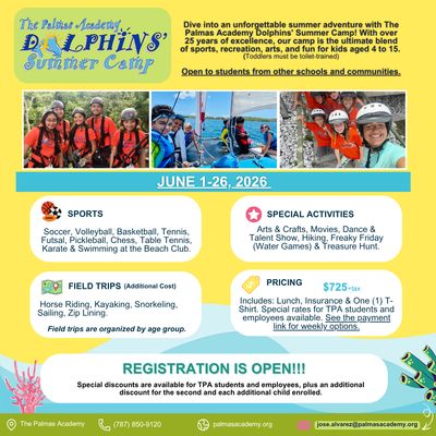 Dolphins Summer Camp