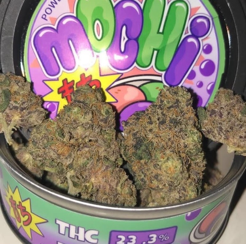 Mochi