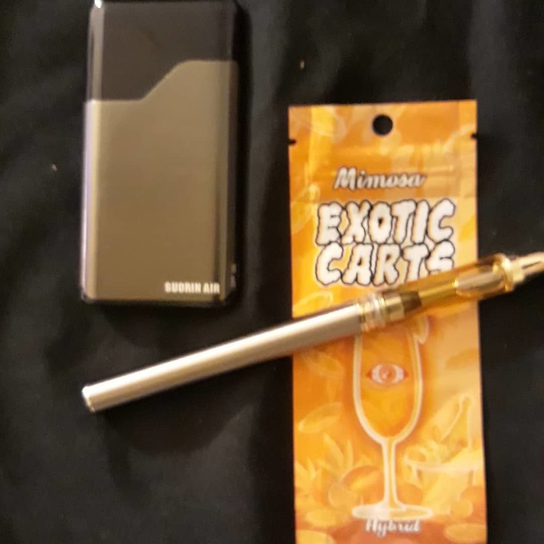 Mimosa