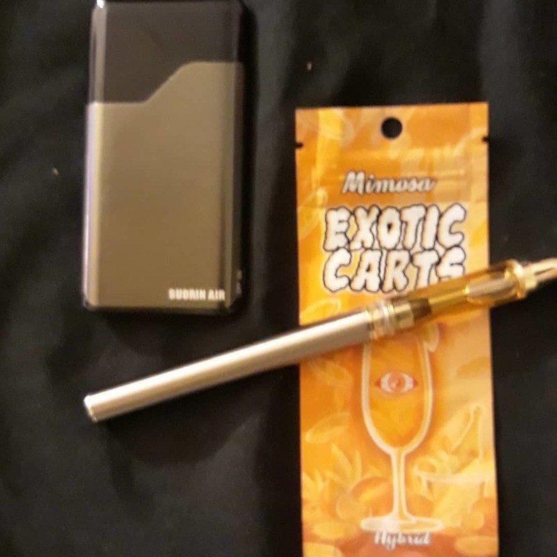 Mimosa