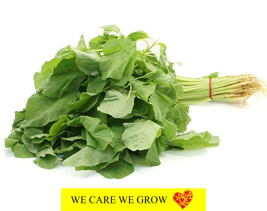 Round Leaves Spinach (圆头苋菜) 15kg (Est. 40-50 packets)