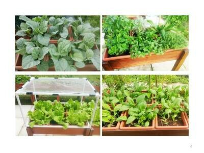 URBAN RAISED BED GARDEN SYSTEM