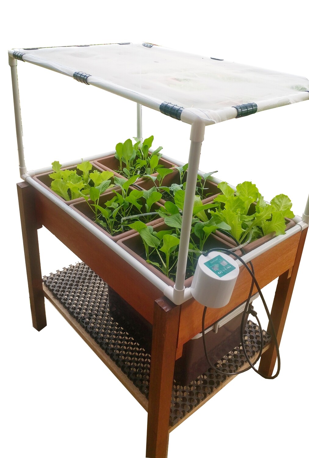 Raised Bed Gardening 3 X 2 (Fully Auto-Irrigation)